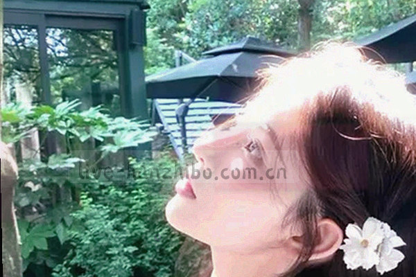 多个霓虹色标签叠放，文字模糊不可辨